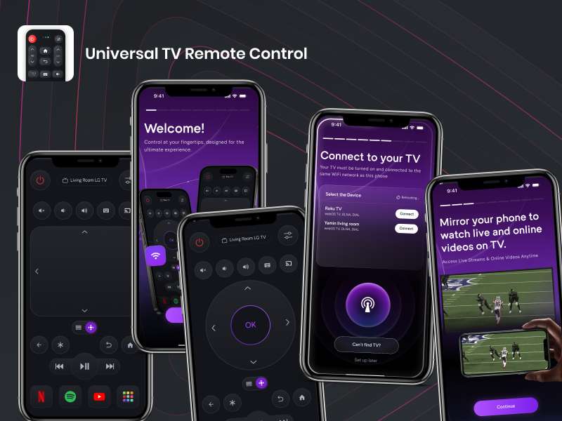 Universal TV Remote Control